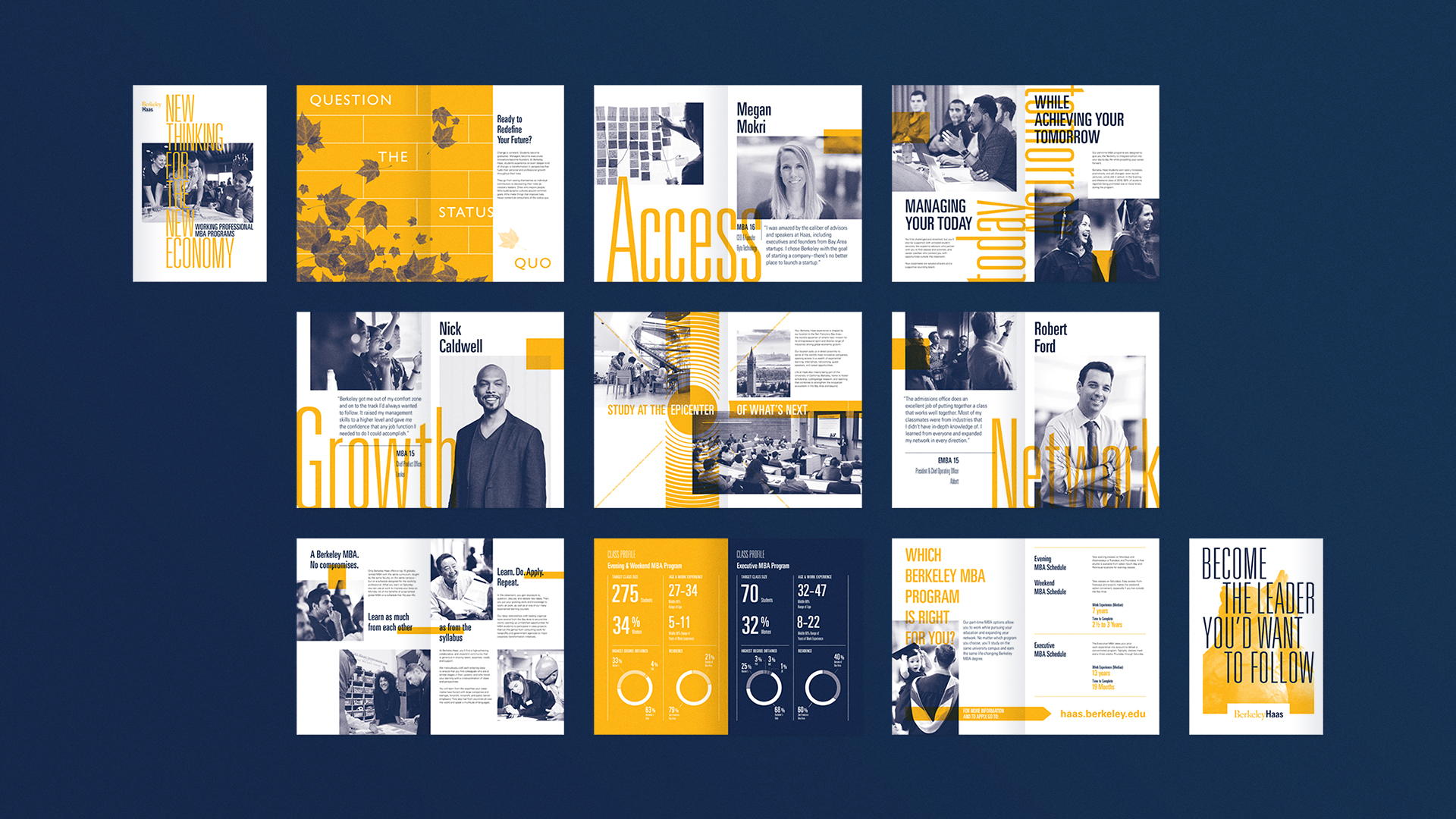 Berkeley Haas Brochure Spreads
