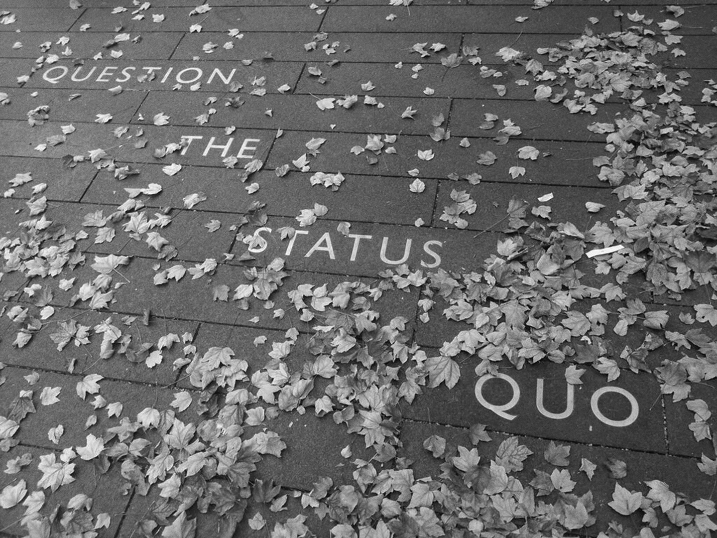 Brick pavers with 