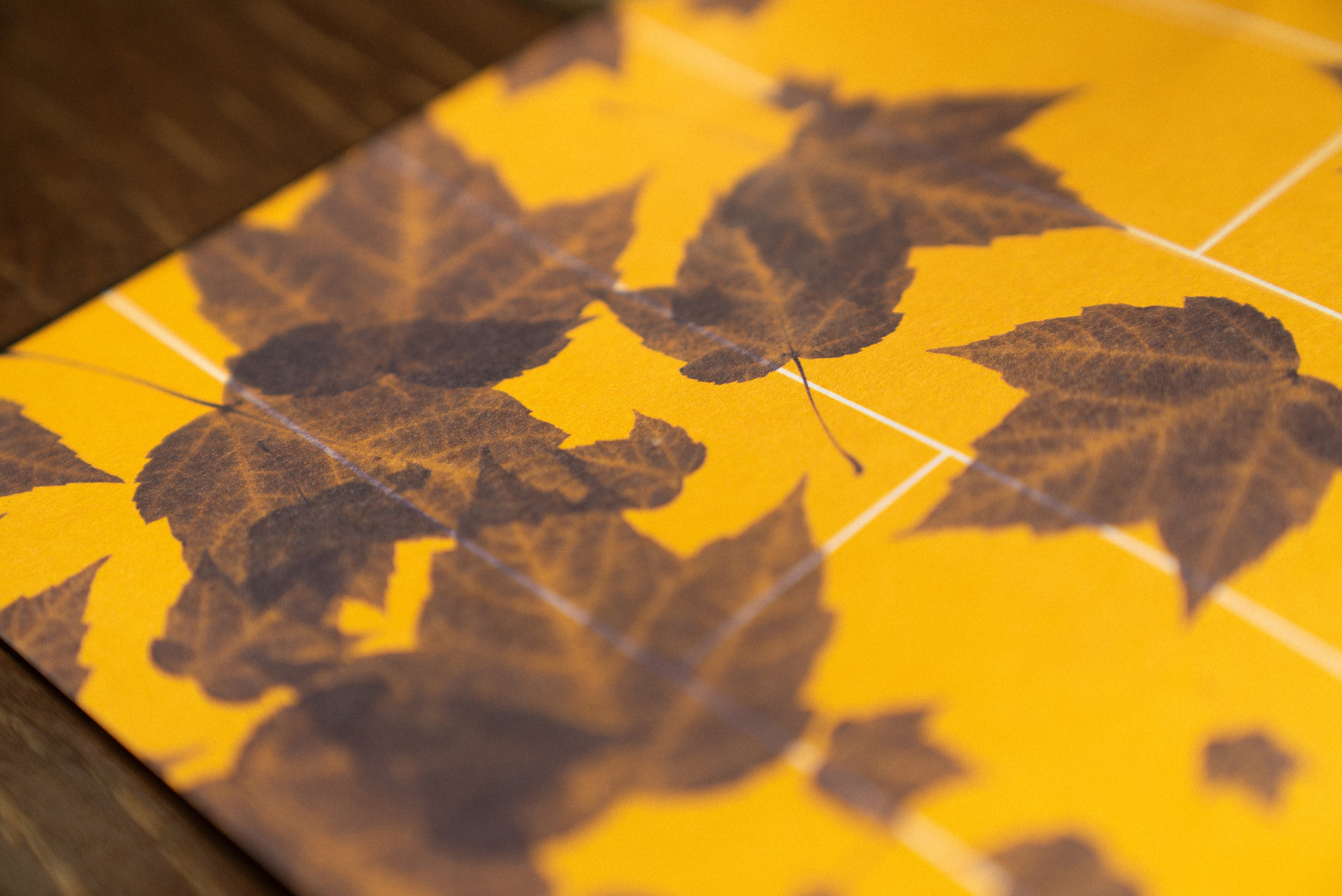 Berkeley Haas brochure printed leaves close up