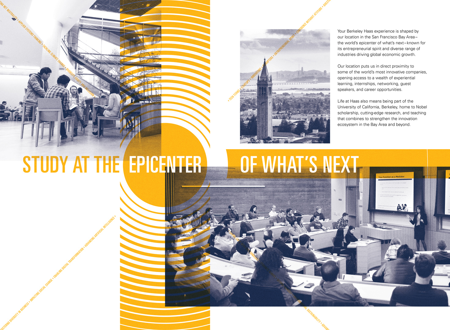 Berkeley Haas brochure spread